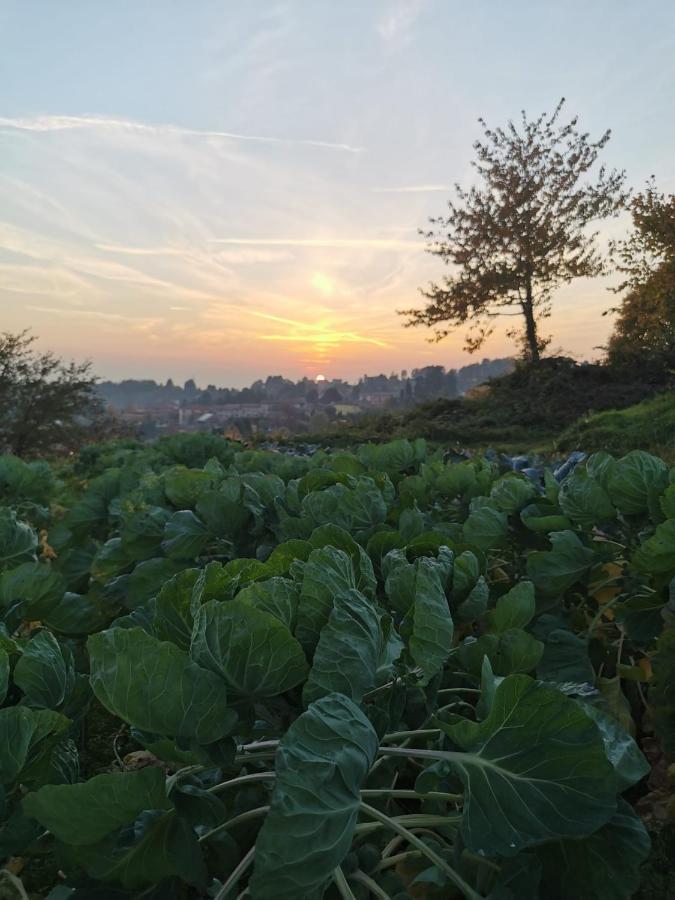 Agriturismo Teresa Delle Fragole Vigano Екстер'єр фото